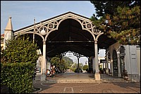 DSC_0544D.jpg