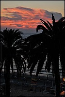 DSC_0700.JPG