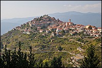 DSC_0730E.jpg