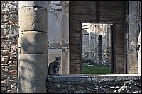 DSC_0732D.jpg
