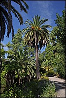 DSC_0839.JPG