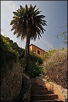DSC_0942G.jpg