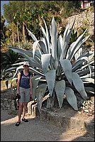 DSC_0949.JPG