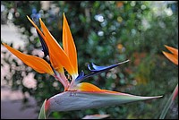 DSC_1027.JPG