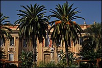 DSC_1034.JPG
