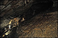 DSC_1053G.jpg