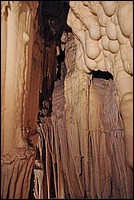 DSC_1060Co.jpg
