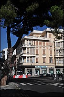 DSC_1120.JPG