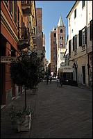 DSC_1125.JPG