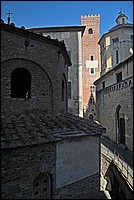 DSC_1153CoG.jpg