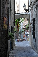 DSC_1162.JPG