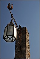 DSC_1210.JPG