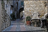 DSC_1218.JPG