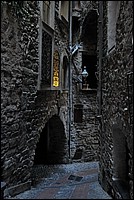 DSC_1235E.jpg