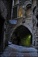 DSC_1237.JPG