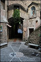 DSC_1242.JPG