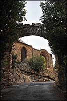 DSC_1411.JPG