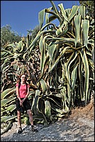 DSC_1443.JPG