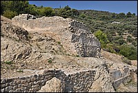 DSC_1451.JPG