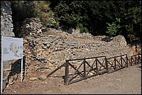 DSC_1455.JPG
