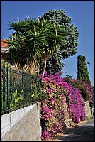 DSC_1461.JPG