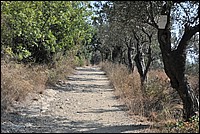 DSC_1465.JPG
