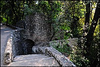DSC_1806.JPG