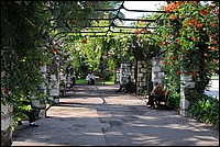 DSC_1924.JPG