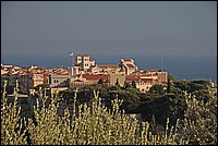 DSC_1973G.jpg