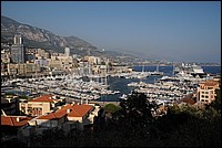 DSC_1980.JPG