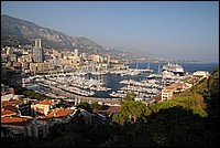 DSC_2016.JPG