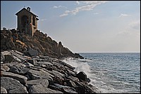 DSC_2469GECo.jpg