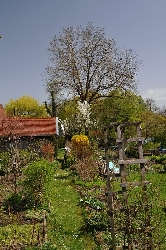 DSC_0222.JPG