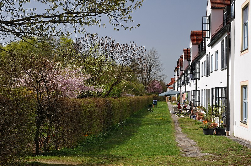 DSC_0225.JPG