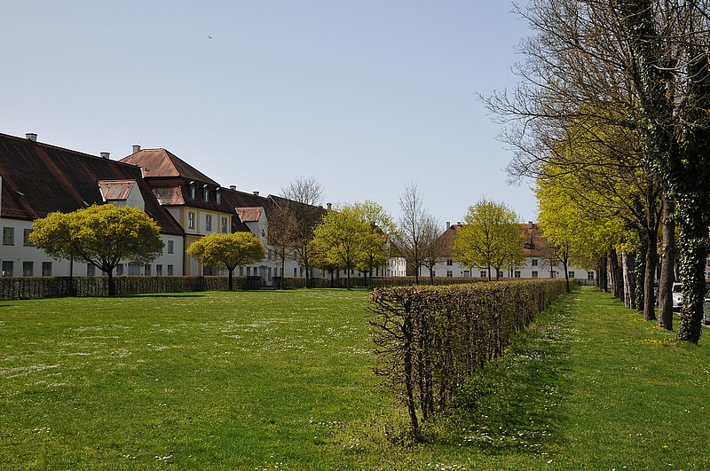 DSC_0228.JPG