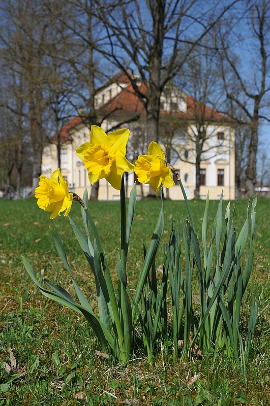 DSC_0385.JPG