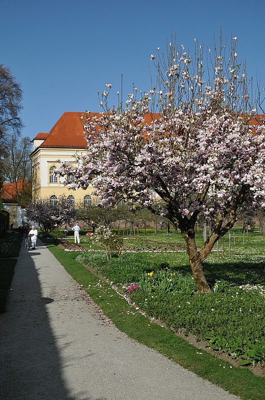 DSC_0477.JPG