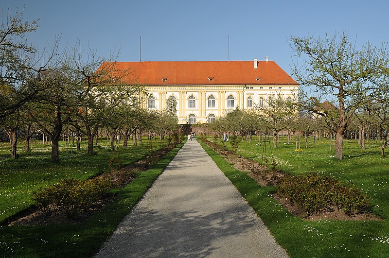 DSC_0487.JPG