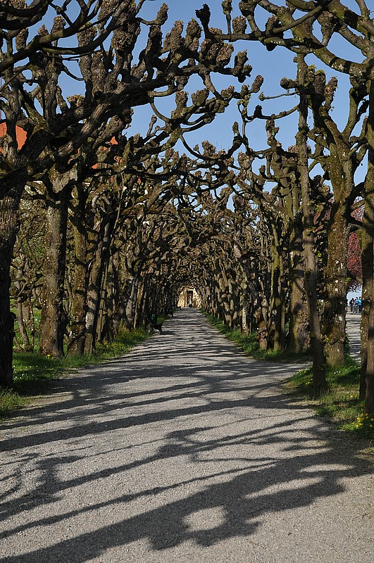 DSC_0496.JPG