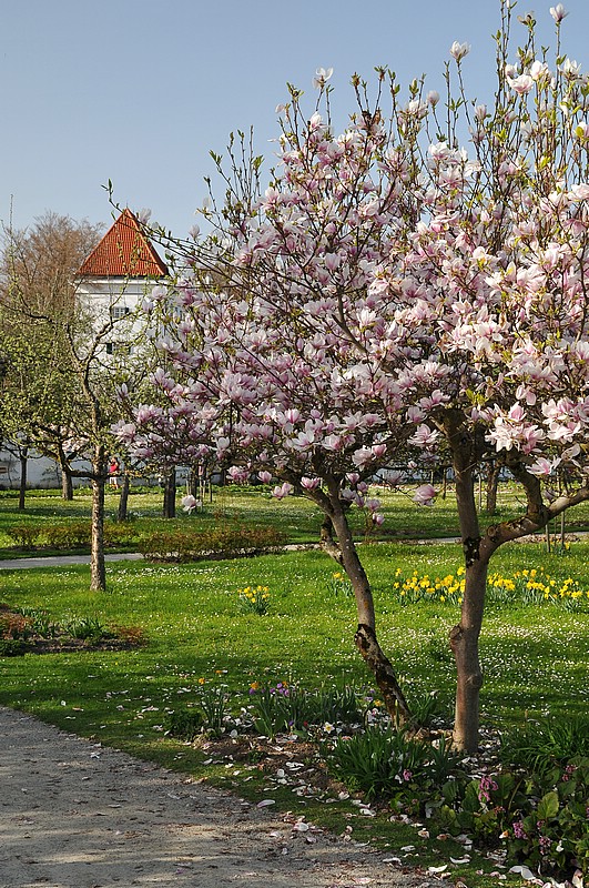 DSC_0505.JPG