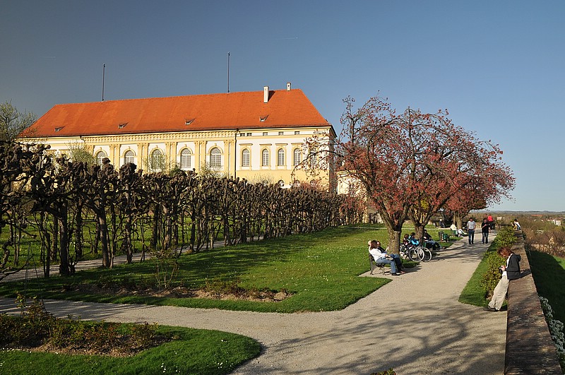 DSC_0523.JPG