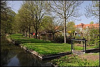 DSC_0219.JPG