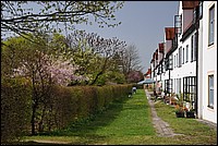 DSC_0225.JPG