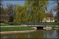 DSC_0334.JPG