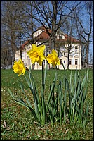 DSC_0385.JPG