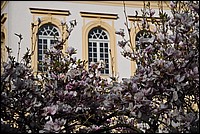 DSC_0475.JPG