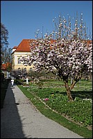 DSC_0477.JPG