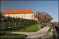 DSC_0523.JPG