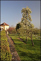 DSC_0601.JPG