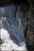 DSC_3630G.jpg